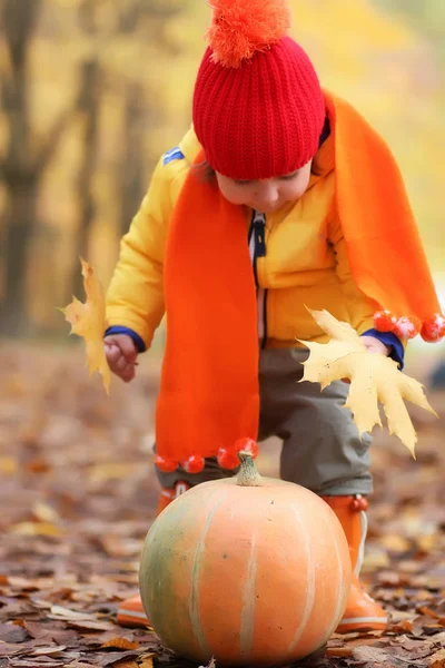 Kid i höst park med pumpa — Stockfoto