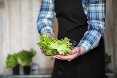 sakallı adam marul ilgilenir tencerelerde evde büyüyor
