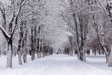 Kış karlı ilk gününde kentsel central park