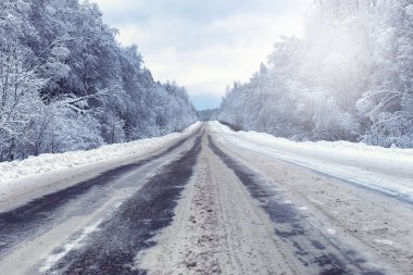 karla kaplı vahşi ile kış ormandaki manzara