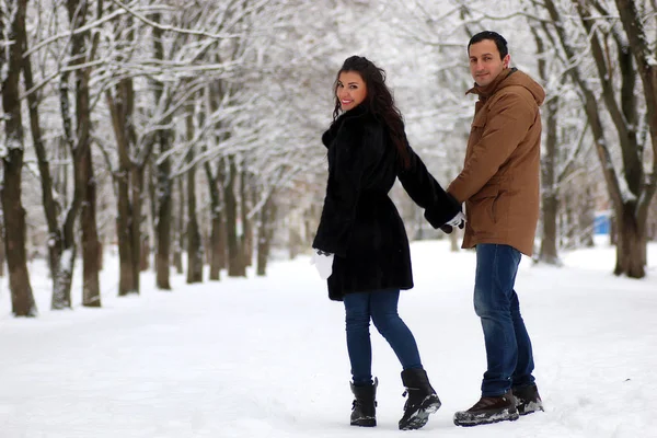 Belo jovem casal em um parque nevado envolto — Fotografia de Stock