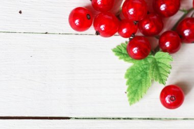 Frenk üzümü berry arka plan