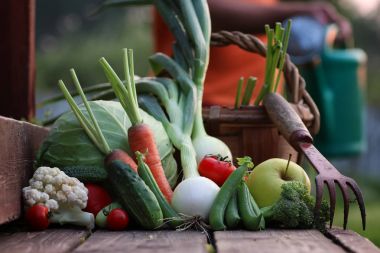 taze sebze hasat doğa açık