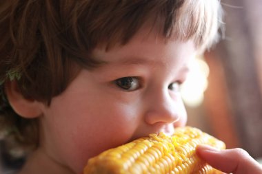 küçük çocuk iştahla ısırma Mısır yiyor