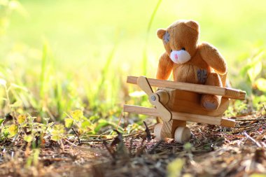 yerde yalnız oyuncak