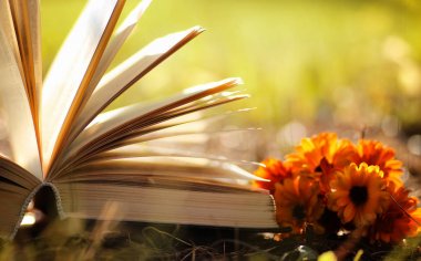 Sarı sonbahar açık kitap