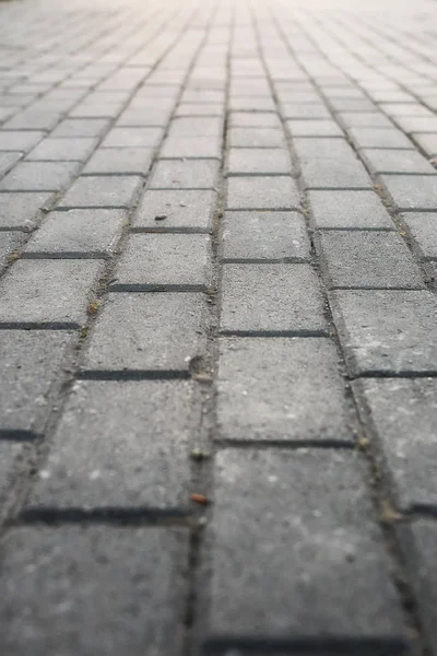 Paving stone path goes away the prospect in sunset — Stock Photo, Image