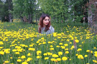 Sarı dandelions çayırda güneşli bir dinlenme kız