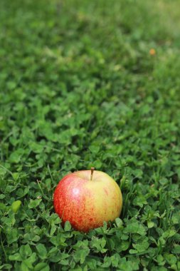 çimenlerin üzerinde taze elma