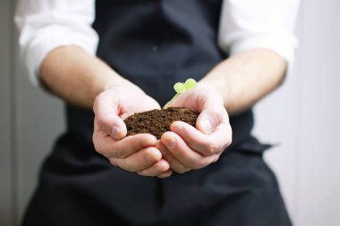 Avuçlarda filizlenen bahçıvan eli.