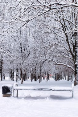 Kış karlı ilk gününde kentsel central park
