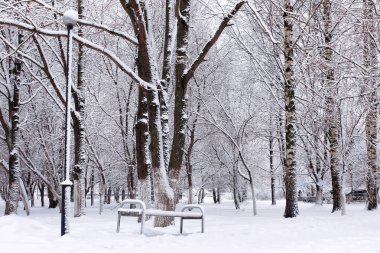 Kış karlı ilk gününde kentsel central park
