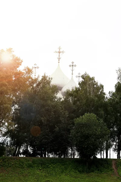 Printemps cathédrale coucher de soleil arbre — Photo