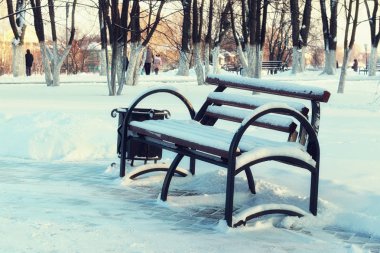 Kış Park bankında sokak