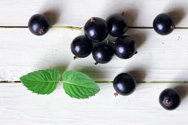 Black currant berry background — Stock Photo, Image