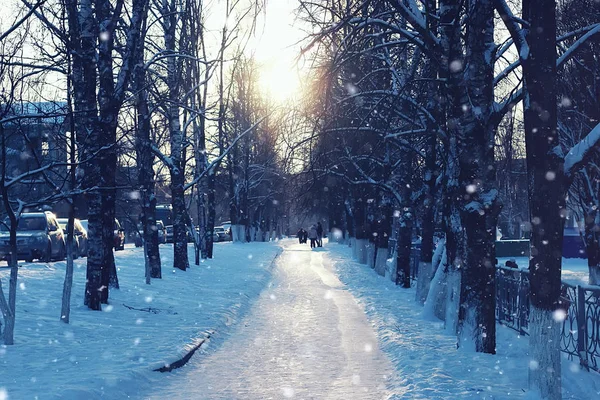 Ağaçlar yol kış — Stok fotoğraf