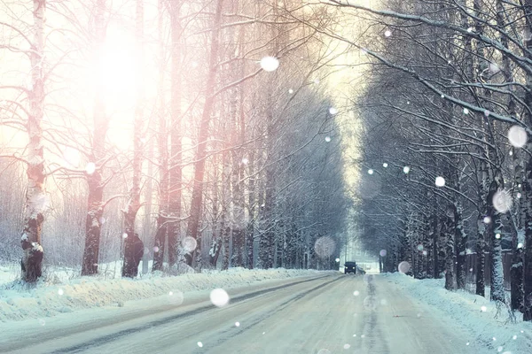 Közúti fák téli naplemente — Stock Fotó