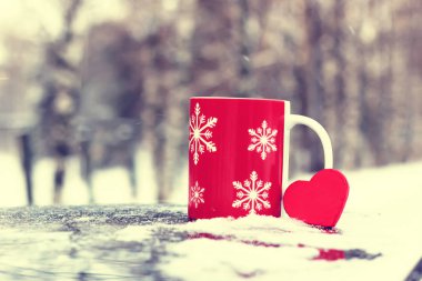 bir araba kış sezonu Kupası