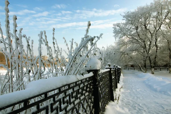 Kerítés fedett hóban Erdőkertes — Stock Fotó