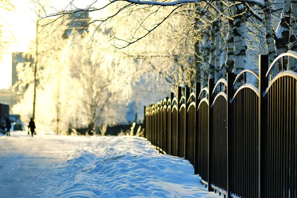 Паркан покритий снігом зимовий парк — стокове фото