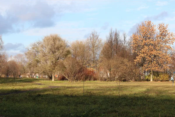 Árboles del parque de otoño desnudos — Foto de Stock