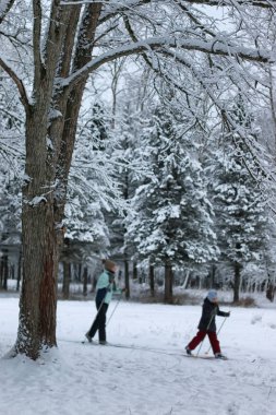 ağaç parkta koşan kış kar spor adam