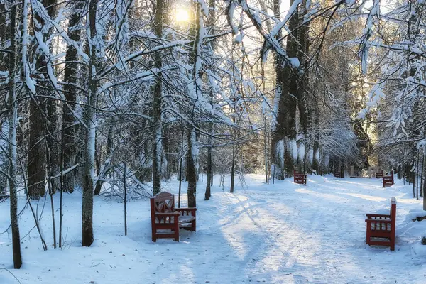 Wood bench in winter — Stock Photo, Image