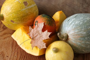 Kabak hasat masanın üstüne kesmek.