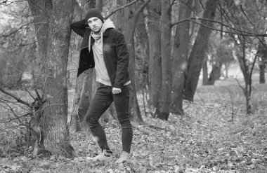 yakışıklı sakallı adam sonbahar Park