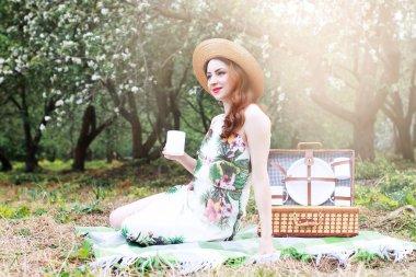 Elma bahçesinde bir piknikte bir sepet ürünle