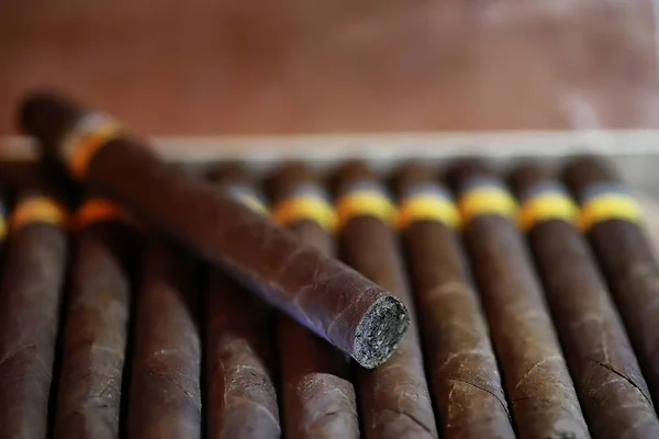 Große Holzkiste mit handgefertigten kubanischen Zigarren — Stockfoto