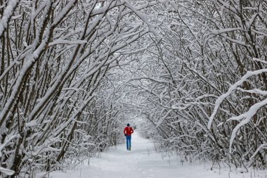 ağaç parkta koşan kış kar spor adam