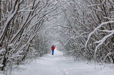 ağaç parkta koşan kış kar spor adam
