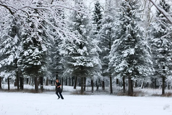 Zima snow na gałęzi drzewa jodły — Zdjęcie stockowe