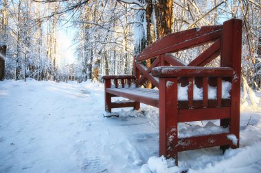 Kışın ahşap Bank