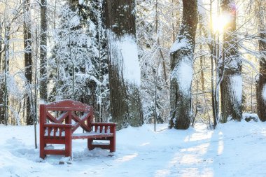 Kışın ahşap Bank
