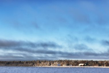 kış orman manzara güneş ışığı kar