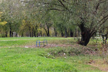 Park manzarası yalnız ağaç