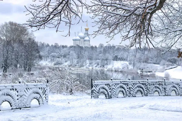 Зимовий сніг на дереві місто купол — стокове фото