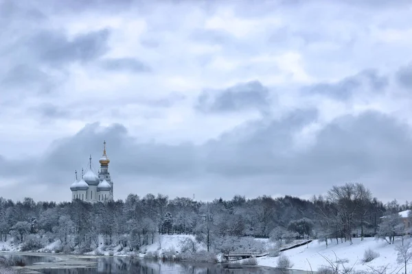 Зимний снег на куполе города деревьев — стоковое фото