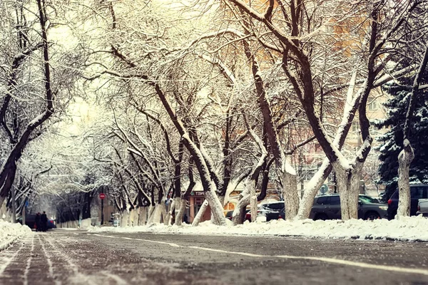 行人通路树冬天 — 图库照片