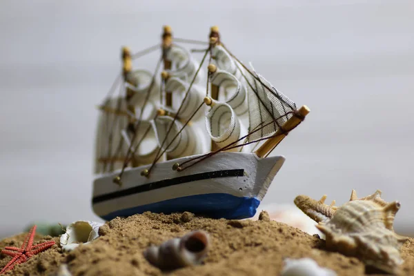 Concha de areia e vela no mar — Fotografia de Stock