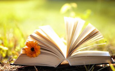 Sarı sonbahar açık kitap