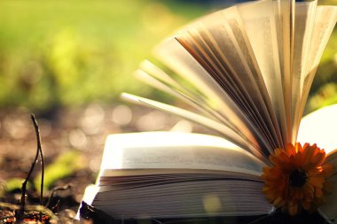 Çimenlerin üzerinde çiçek ile açık kitap