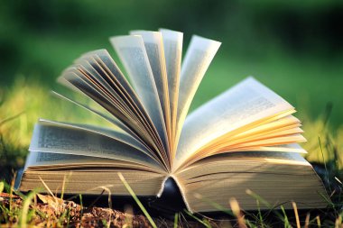 Çimenlerin üzerinde çiçek ile açık kitap