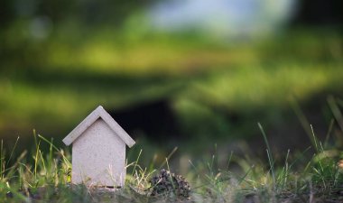 çimenlerin üzerinde evin düzeni