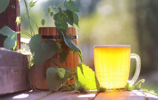 Glass of beer wooden hop nature — Stock Photo, Image