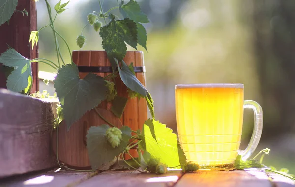 Vetro di birra natura luppolo di legno — Foto Stock