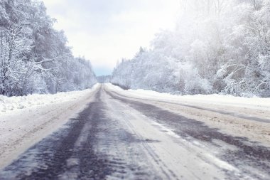 karla kaplı vahşi ile kış ormandaki manzara