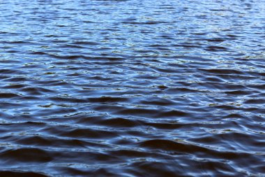 doku göl dalgaların